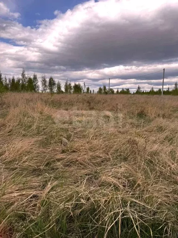 Участок в Владимирская область, Муром с. Ковардицы,  (15.2 сот.) - Фото 1