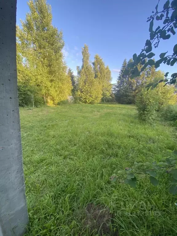 Участок в Пермский край, Краснокамский муниципальный округ, Алешиха ... - Фото 1