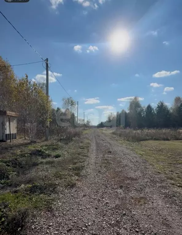 Участок в Курганская область, Шадринский муниципальный округ, с. Ключи ... - Фото 2