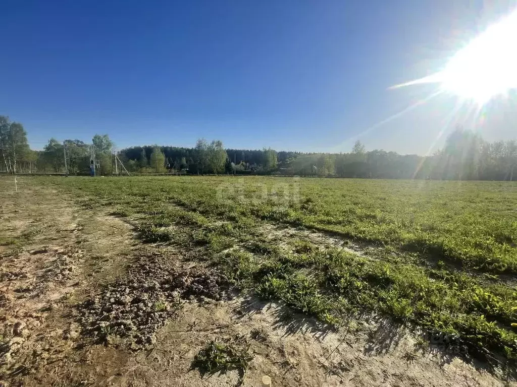 Участок в Московская область, Домодедово городской округ, д. Матчино, ... - Фото 1