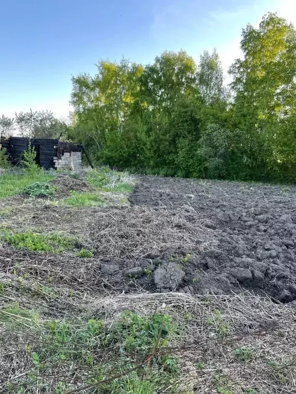 Участок в Новосибирская область, Новосибирский район, Каменский ... - Фото 1