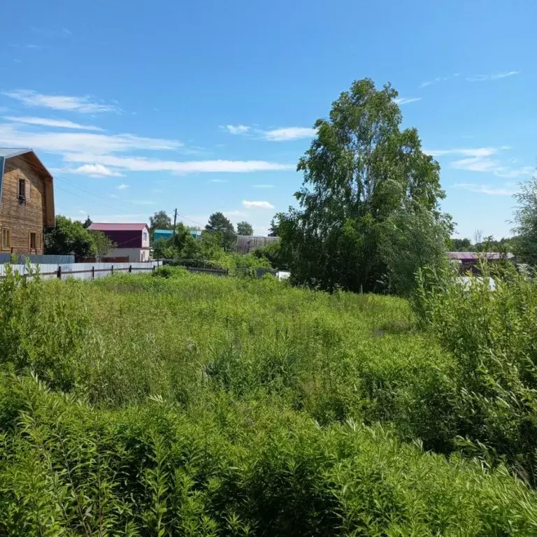 Участок в Татарстан, Казань Кооператор садоводческое товарищество, 232 ... - Фото 1