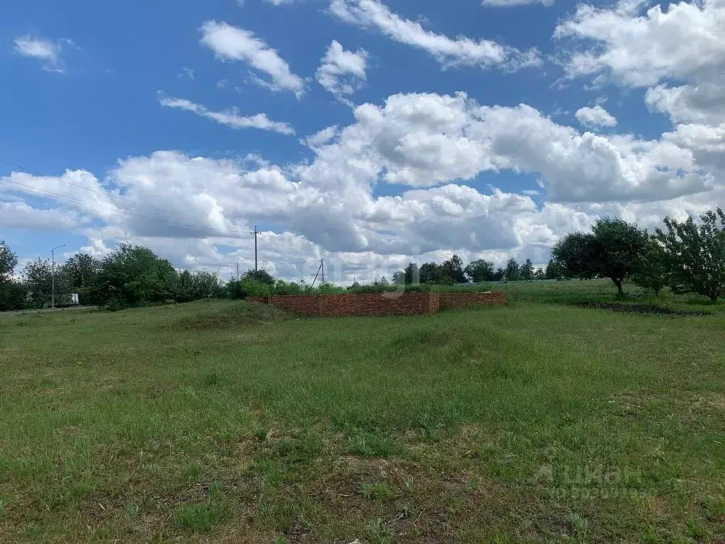 Участок в Белгородская область, Белгородский район, Веселолопанское ... - Фото 1