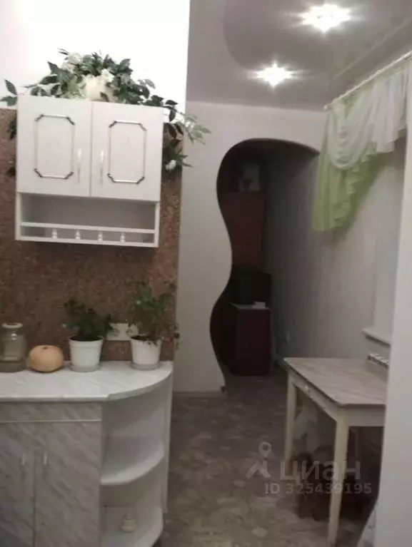 1-к кв. Алтайский край, Барнаул Путейская ул., 67 (24.0 м) - Фото 2