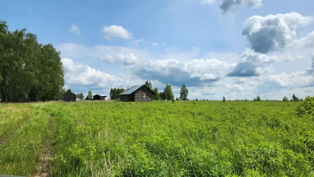 Участок в Тульская область, Киреевский район, Красноярское с/пос, д. ... - Фото 1