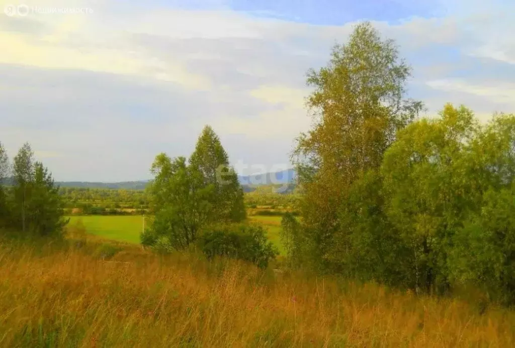 Участок в село Чоя, Социалистическая улица (11.8 м) - Фото 1