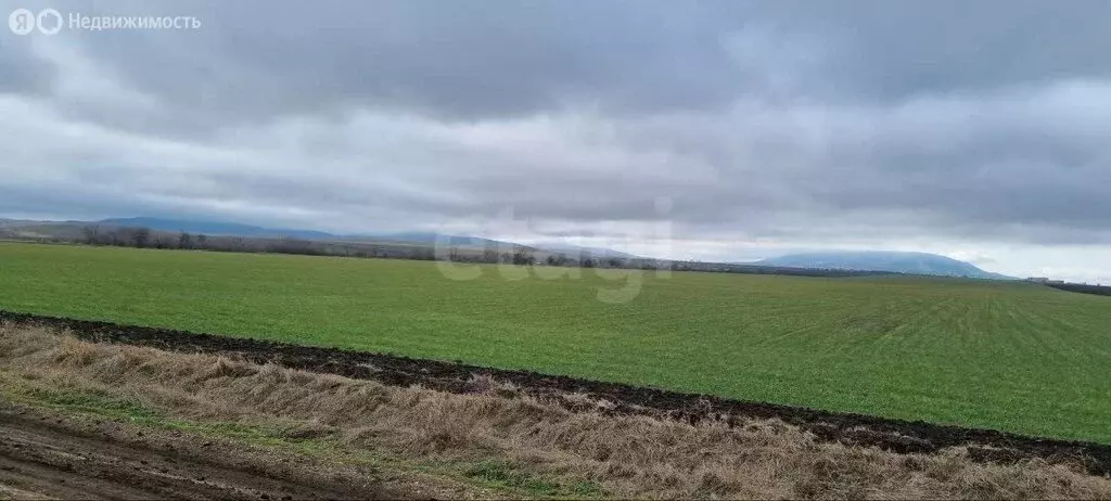 Участок в Первомайское, улица Бешуй, 1 (9591.25 м) - Фото 2