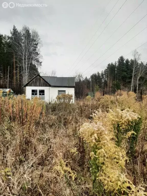 Дом в Тогучинский район, садовое товарищество Восход (30 м) - Фото 0