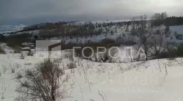 Участок в Алтайский край, Алтайский район, с. Алтайское ул. А.А. ... - Фото 0