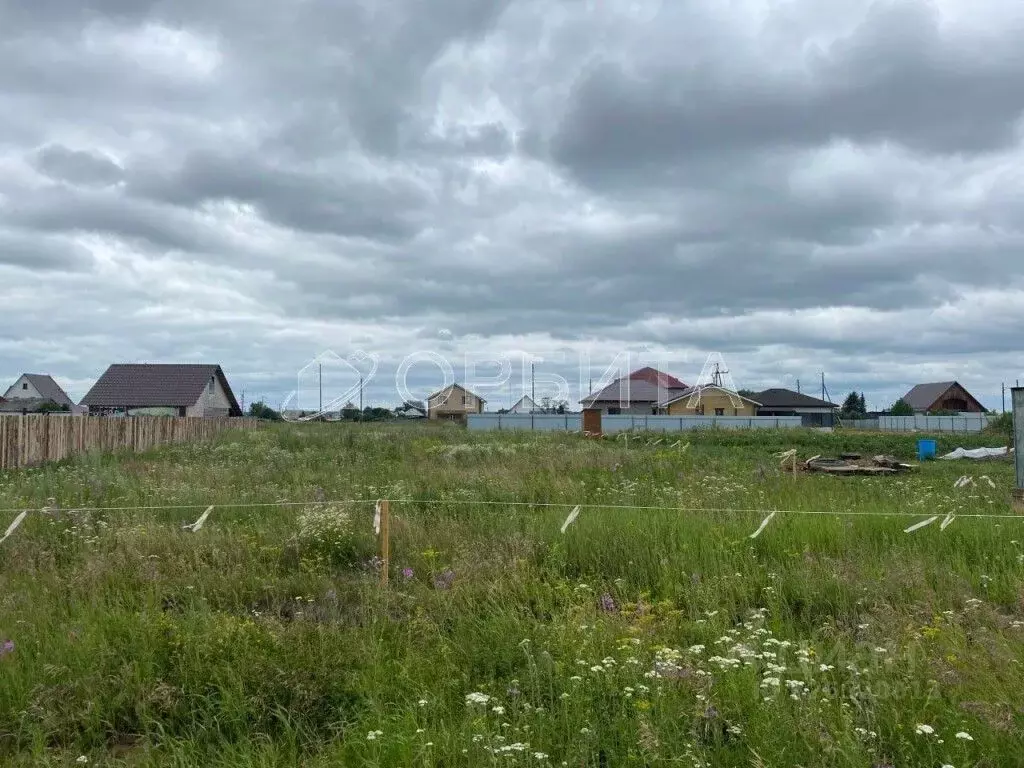 Участок в Тюменская область, Тюменский муниципальный округ, д. Зырянка ... - Фото 2