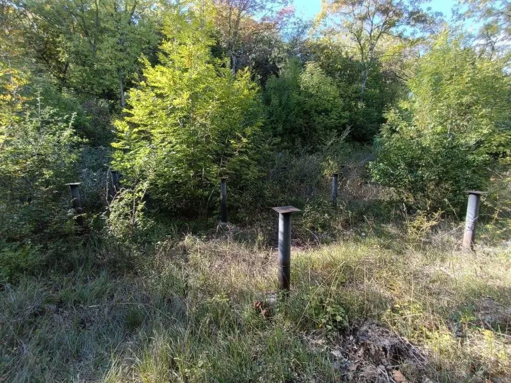 Участок в Крым, Алушта муниципальный округ, пос. Лаванда, Заречный мкр ... - Фото 2