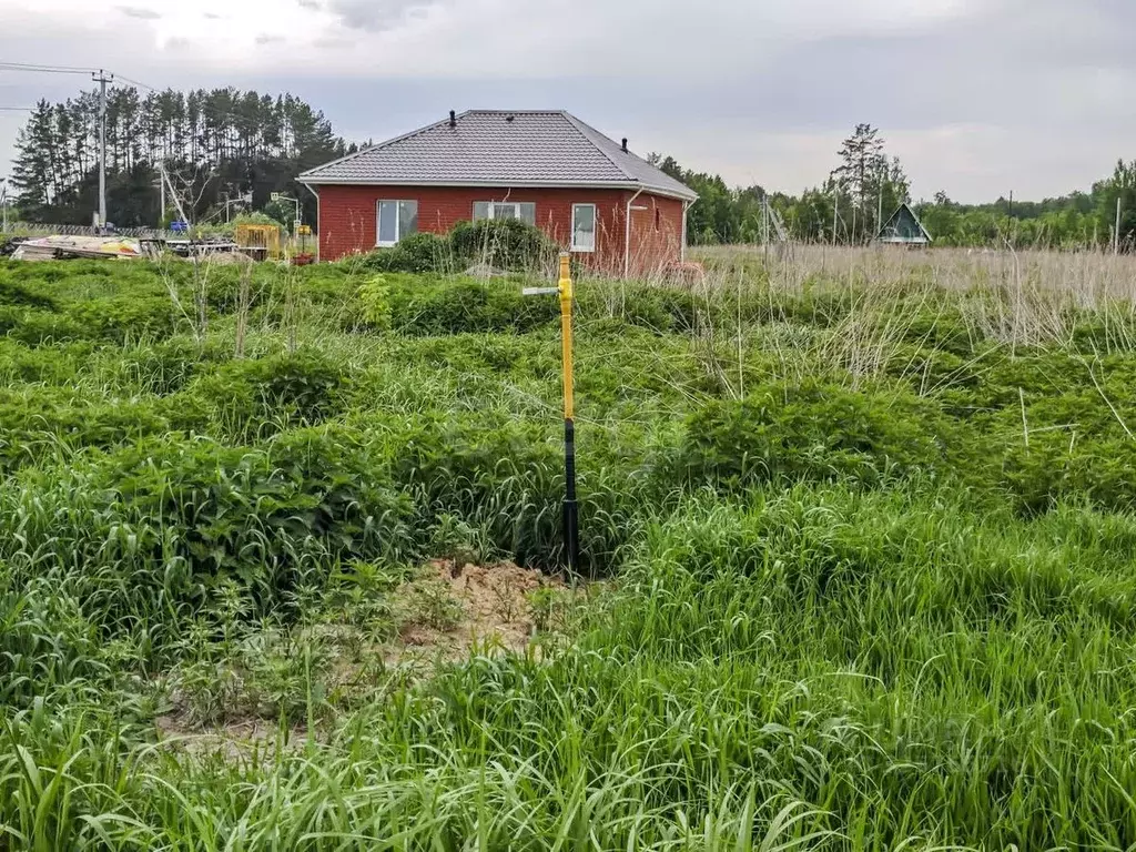 Участок в Тюменская область, Тюменский муниципальный округ Салаирский ... - Фото 0