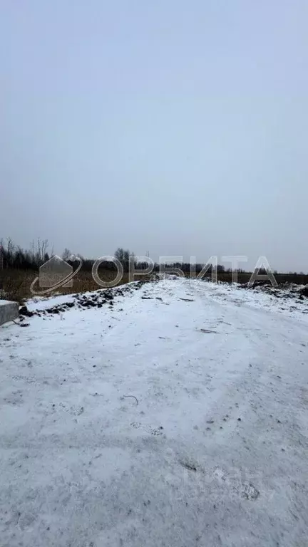Участок в Тюменская область, Тюмень Велижанский тракт, 5-й км (26.0 ... - Фото 1