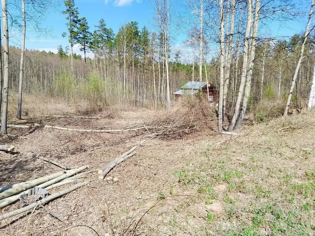 Участок в Иркутская область, Иркутский муниципальный округ, ... - Фото 0