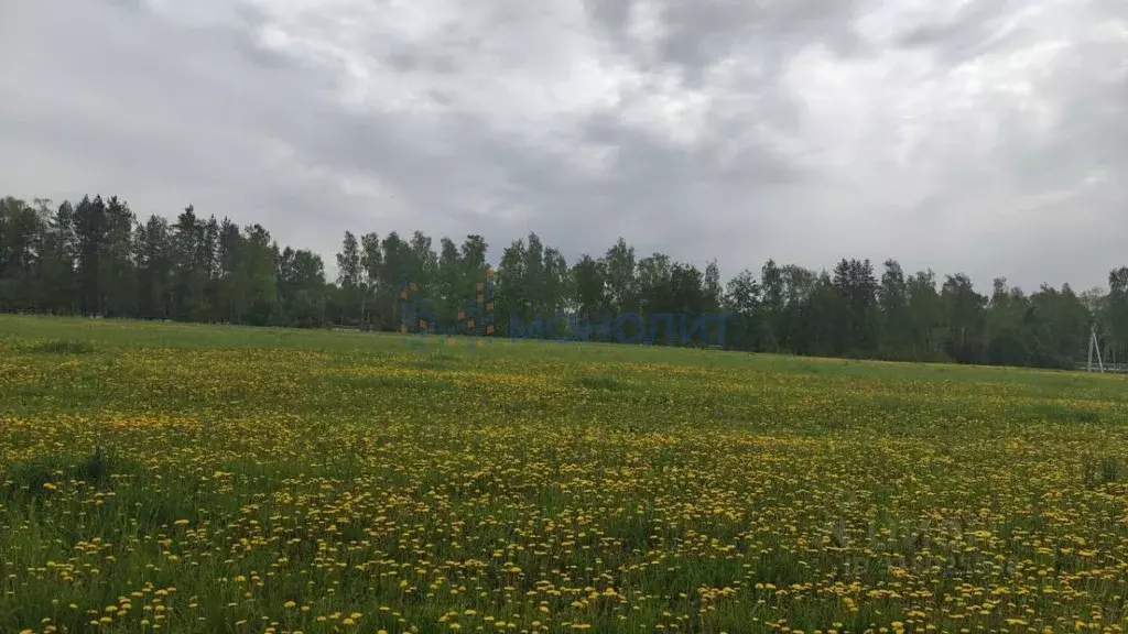 Участок в Нижегородская область, Богородский муниципальный округ, с. ... - Фото 0