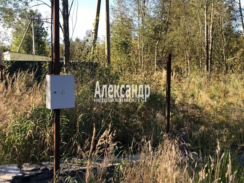 Участок в Ленинградская область, Приозерск  (12.0 сот.) - Фото 1
