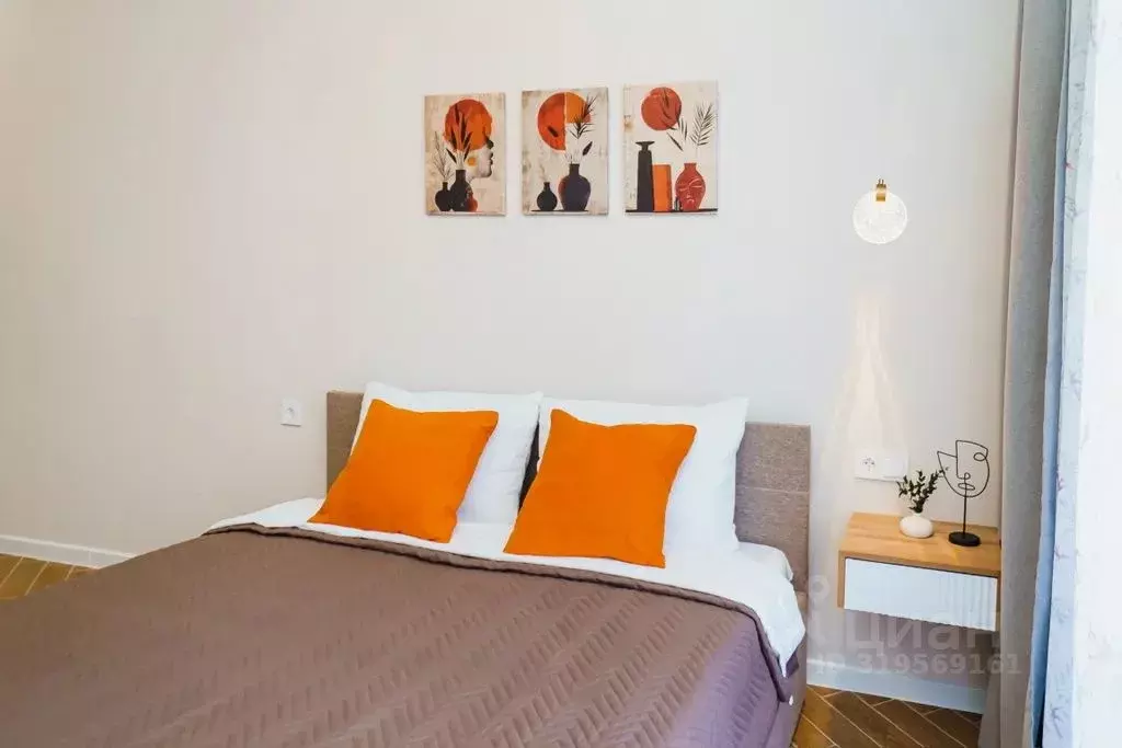 Студия Краснодарский край, Сочи ул. Ленина, 290/7к2 (22.0 м) - Фото 0