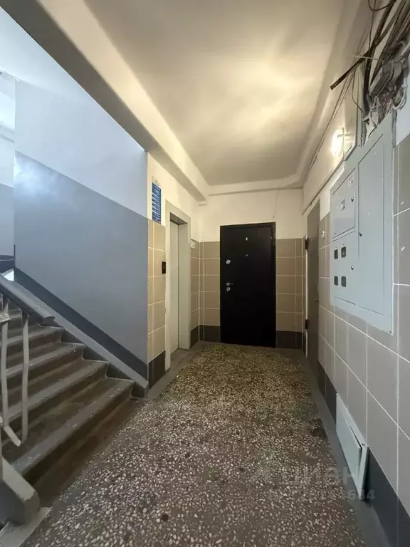 2-к кв. Красноярский край, Красноярск Семафорная ул., 17 (54.5 м) - Фото 2