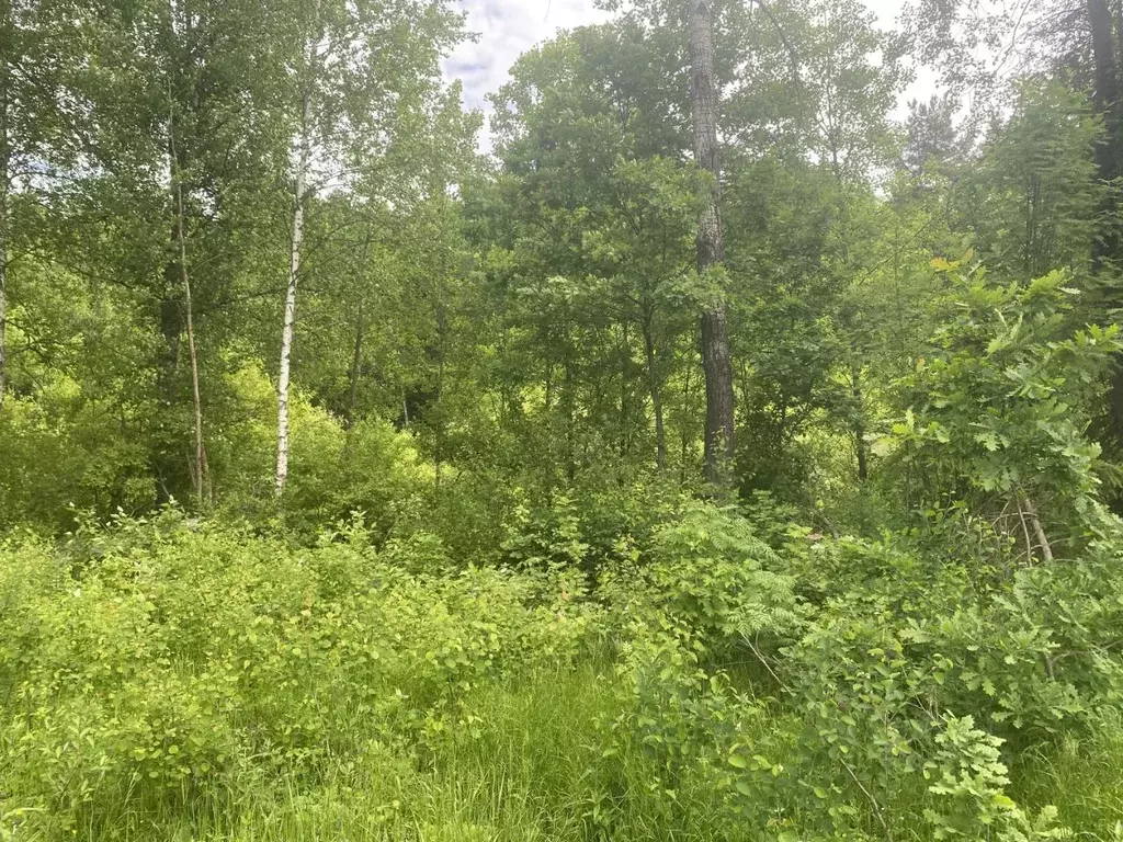 Участок в Московская область, Пушкинский городской округ, д. Могильцы  ... - Фото 1