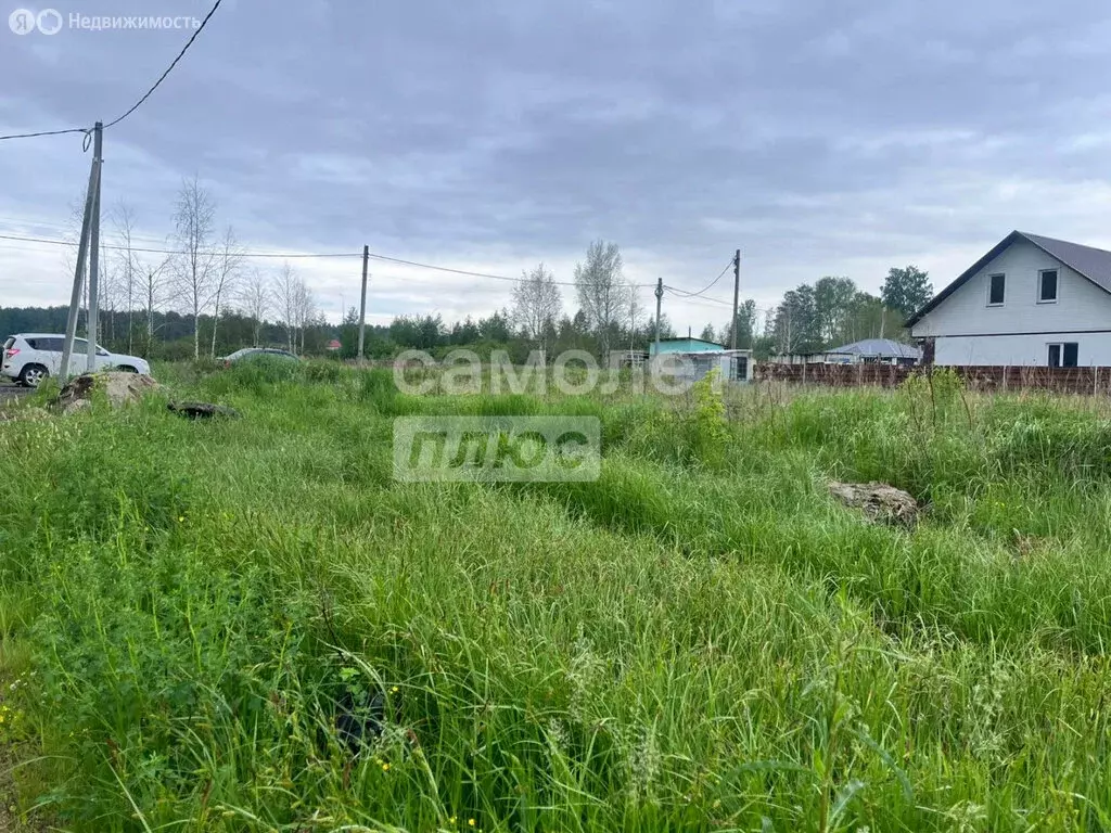 Участок в Челябинская область, Сосновский муниципальный округ, село ... - Фото 1