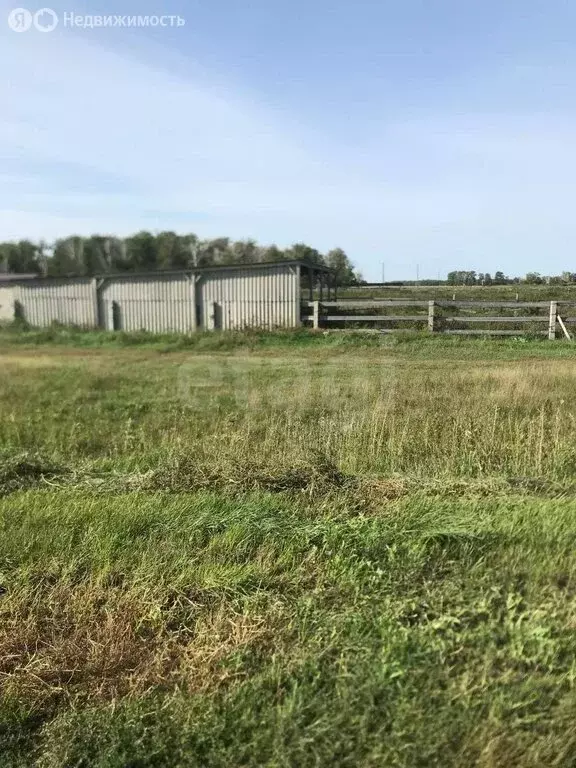 Участок в Шербакульский район, территория 2-е Комиссаровское (55000 м) - Фото 1