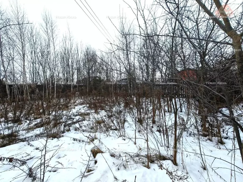 Участок в Московская область, Ленинский городской округ, с. Остров  ... - Фото 1