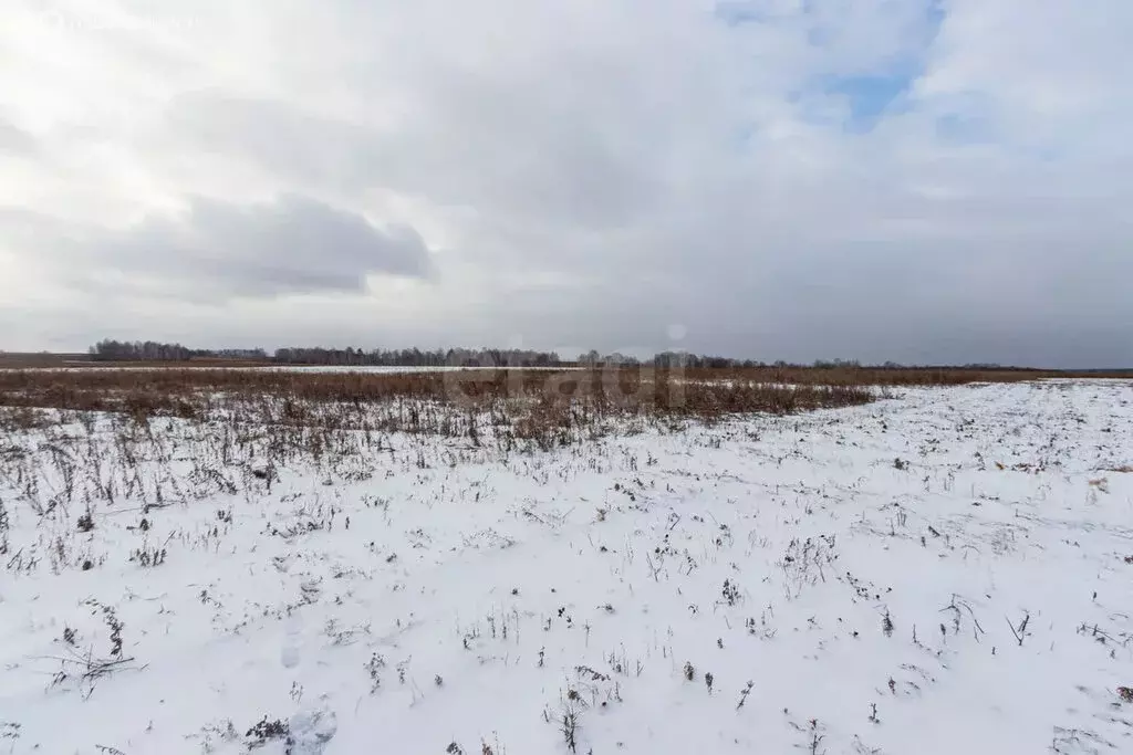 Участок в Тюменский район, деревня Большие Акияры (830 м) - Фото 1