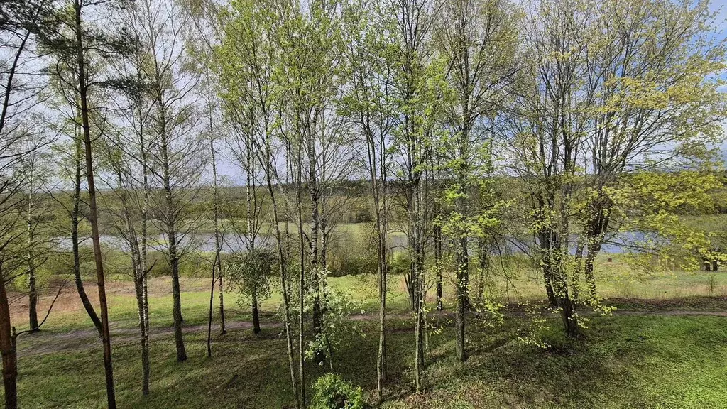 1-к. квартира, 31,9 м, 3/5 эт. - Фото 1