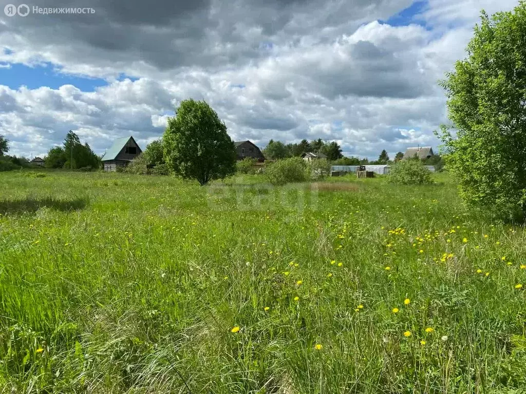 Участок в Киришский район, Кусинское сельское поселение, село ... - Фото 2