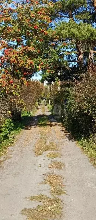 Дом в Курган, СНТ Кургансельстрой (25.3 м) - Фото 1