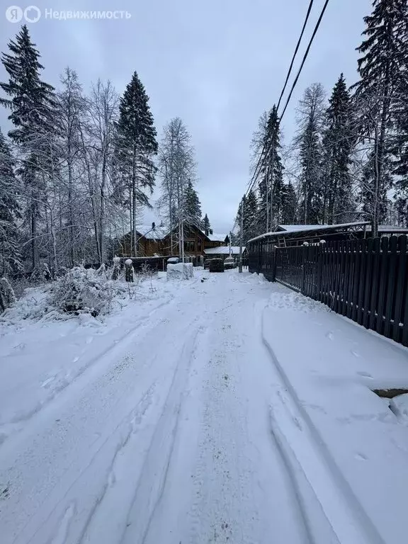 Участок в Московская область, Дмитровский муниципальный округ, ... - Фото 1