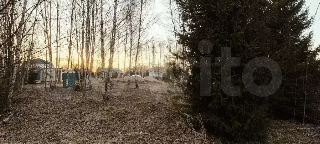 Участок 15 сот. (ИЖС) - Фото 0