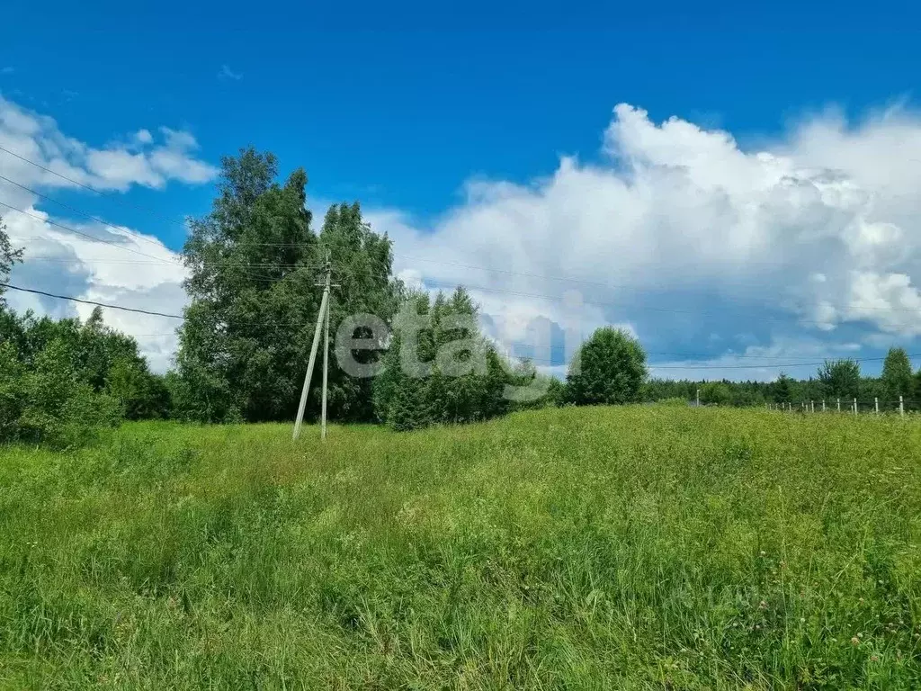 Участок в Костромская область, Нерехтский район, Воскресенское с/пос, ... - Фото 1