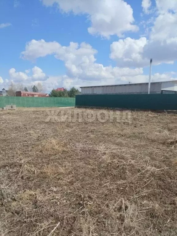 Участок в Амурская область, Благовещенский район, с. Владимировка ... - Фото 2