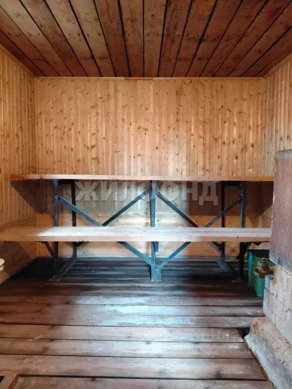 Дом в Новосибирская область, Колыванский район, Дзержинец СНТ  (50 м) - Фото 2
