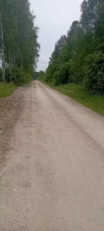 Участок в Московская область, Наро-Фоминский городской округ, Вишневый ... - Фото 1