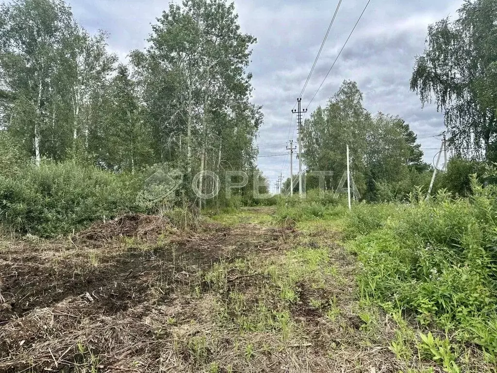 Участок в Тюменская область, Тюменский район, Лесник-2 СНТ  (6.96 ... - Фото 0