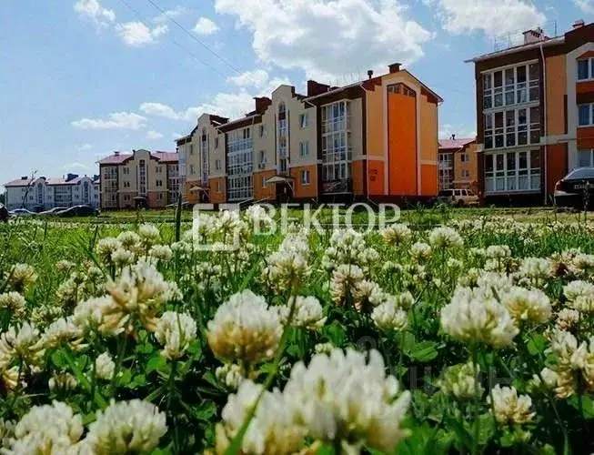 1-к кв. Ивановская область, Кохма Просторный мкр, 3 (34.0 м) - Фото 0