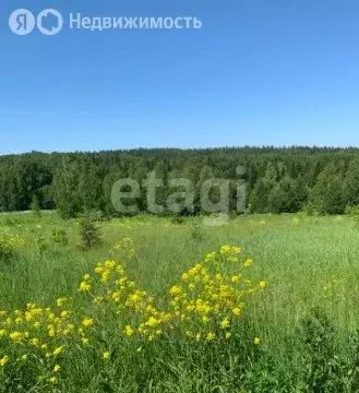 Участок в Пермский муниципальный округ, деревня Пашня (13.15 м) - Фото 0