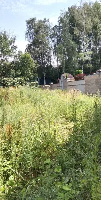 Участок в Московская область, Одинцовский городской округ, с. ... - Фото 1