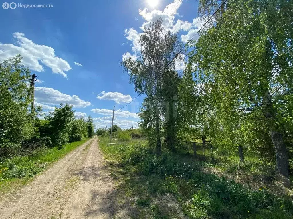 Участок в Тульская область, Венёвский округ, сельское поселение ... - Фото 1