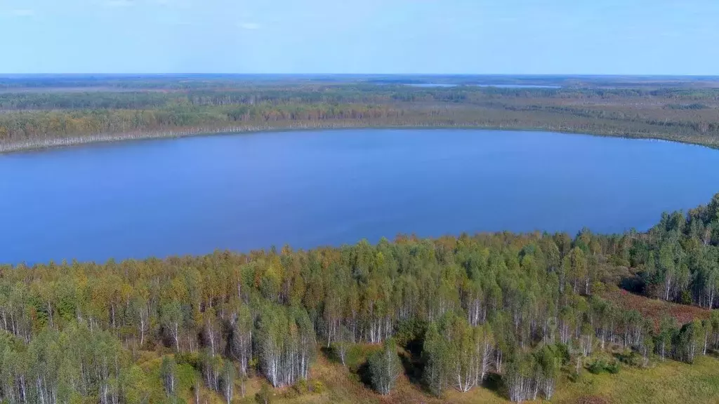 Участок в Тюменская область, Нижнетавдинский район, пос. Мияги ул. ... - Фото 1