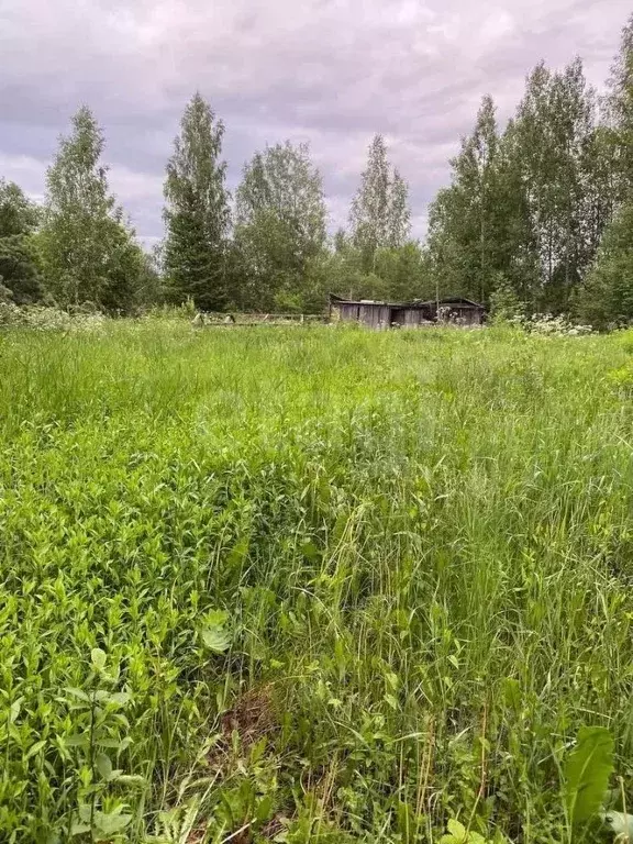 Участок в Вологодская область, Вологда Сохатый садоводческое ... - Фото 2