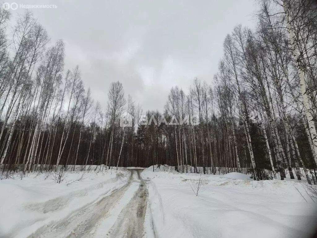 Участок в Владимир, микрорайон Лунёво, Лунёвская улица (6 м) - Фото 1