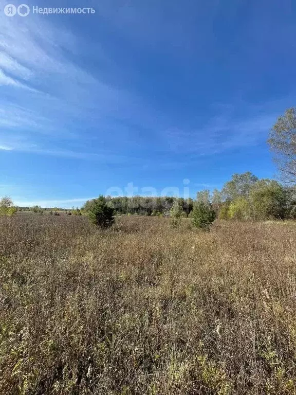 Участок в Калужская область, Тарусский муниципальный округ, сельское ... - Фото 1