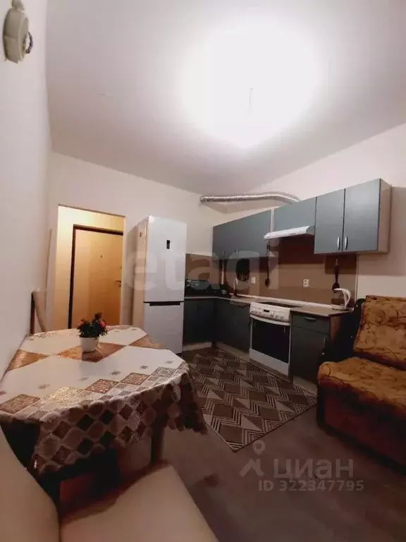 1-к кв. Ленинградская область, Всеволожский район, Свердловское ... - Фото 1