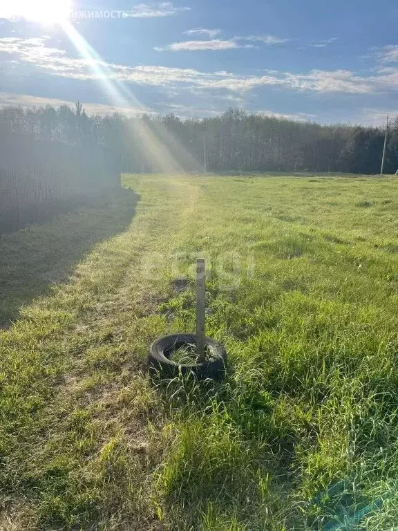 Участок в Пензенский район, Засечный сельсовет, село Засечное (15 м) - Фото 1