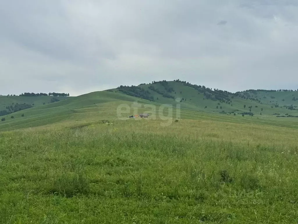 Участок в Алтайский край, Алтайский район, Жемчужина Алтая ДНТ  (10.9 ... - Фото 2