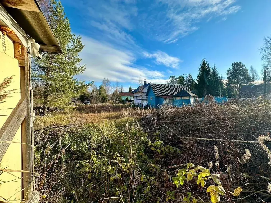 Участок в Ленинградская область, Выборгский район, Рощинское городское ... - Фото 2