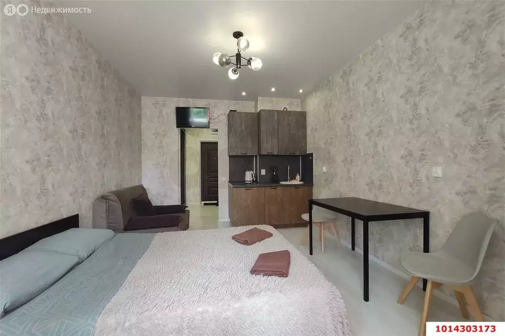 Квартира-студия: Краснодар, улица им. Героя Сарабеева В.И., 5к1 (23.9 ... - Фото 1